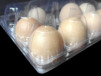 天津饼干吸塑托盘，PVC吸塑包装生产厂家，供应鸡蛋盒--鸿隆吸塑